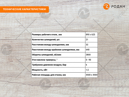 Станок сверлильно-присадочный WoodTec TOP POINT D 21