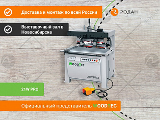 Сверлильноприсадочный станок WoodTec 21W PRO в Москве - rodan.ru