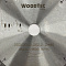 Пила дисковая Ø250 х 30 х 3,2/2,2 Z40 WZ WoodTec