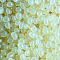 Клей-расплав DELTA ADHESIVES DA-75 (низкотемпературный)